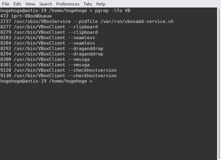 「VirtualBox Guest Additions」「antiX 19.3 herbstluftwm」-「動作確認」