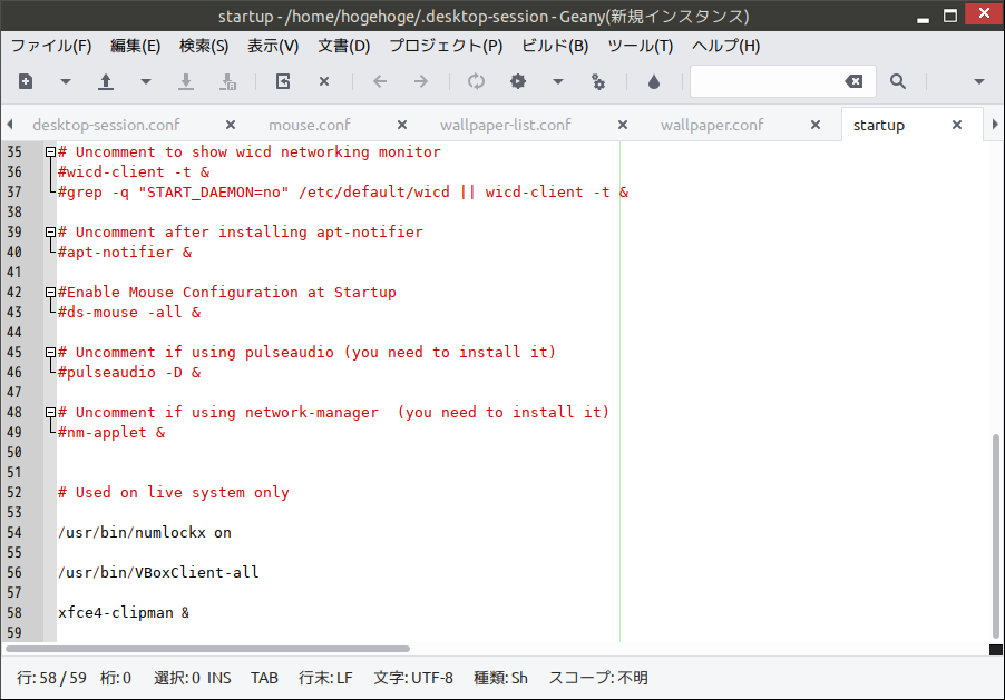 「VirtualBox Guest Additions」「antiX 19.4 IceWM」-「ユーザのデスクトップセッション」