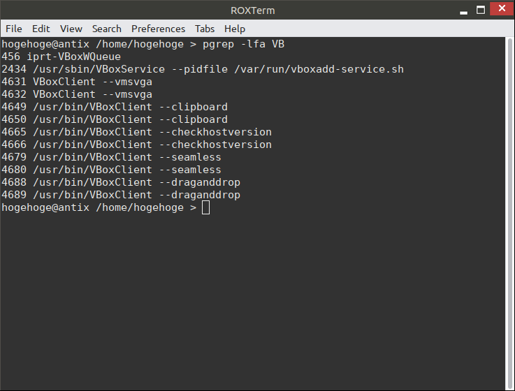 「VirtualBox Guest Additions」「antiX 19.4 IceWM」-「動作確認」