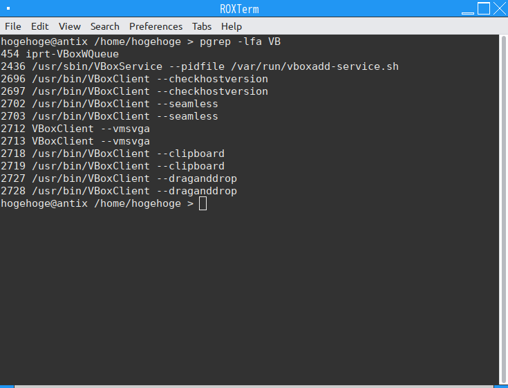 「VirtualBox Guest Additions」「antiX 19.4 Fluxbox」-「動作確認」