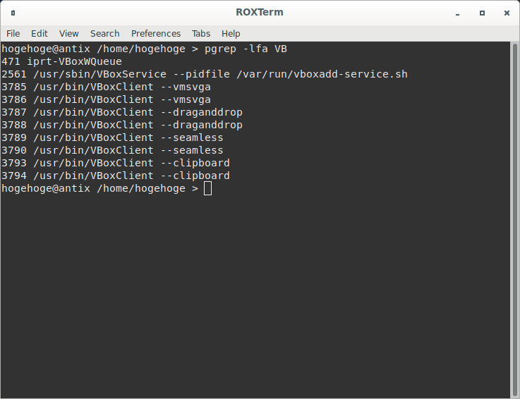 「VirtualBox Guest Additions」「antiX 19.4 Cinnamon」-「動作確認」