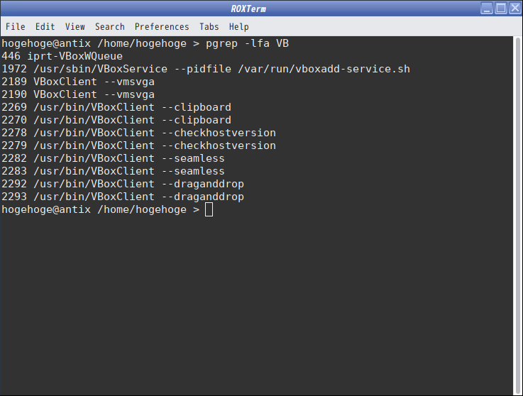 「VirtualBox Guest Additions」「antiX 21 IceWM」-「動作確認」