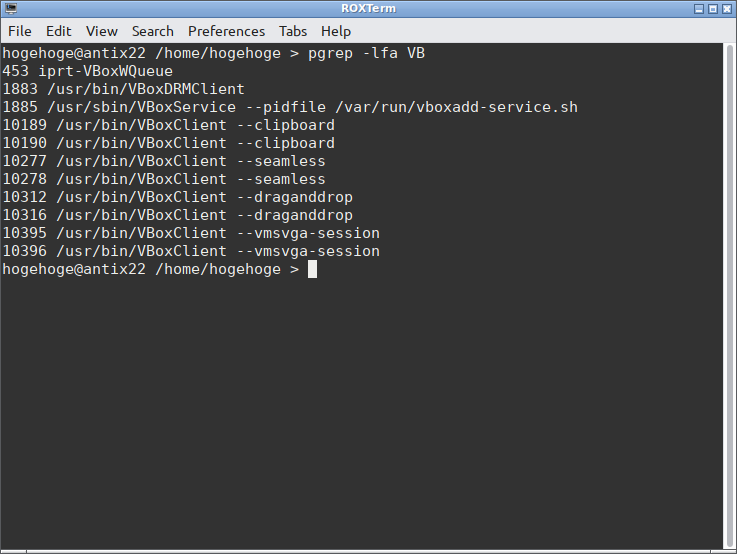 「VirtualBox Guest Additions」「antiX 22 Openbox」-「動作確認」