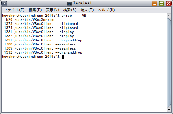 「VirtualBox Guest Additions」「OpenIndiana 2019.10」-「確認」