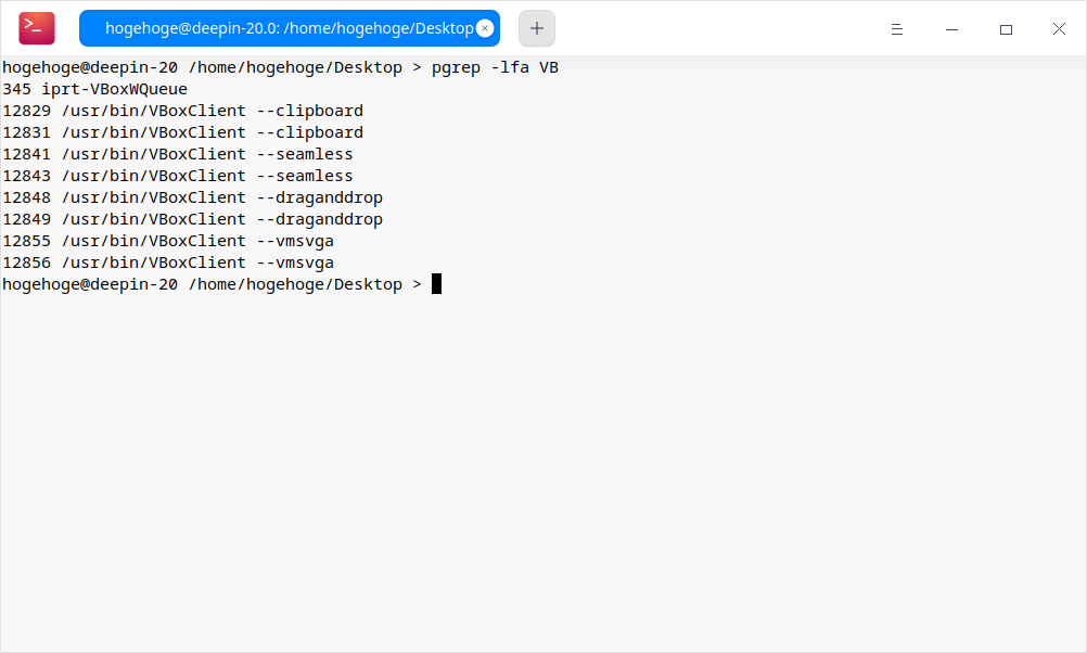 「VirtualBox Guest Additions」「deepin 20.0」-「動作確認」