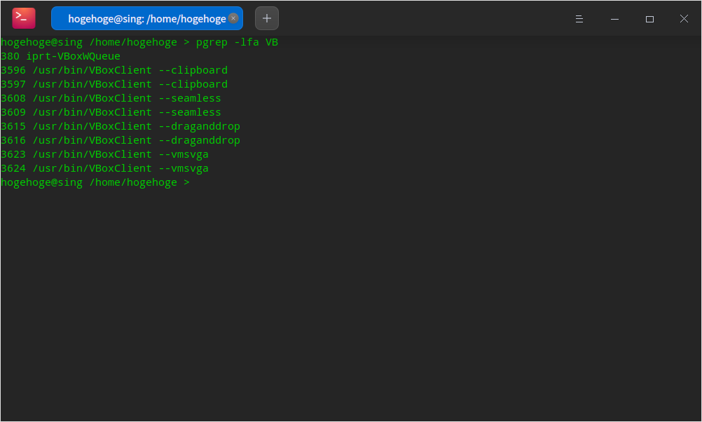 「VirtualBox Guest Additions」「deepin 20.5」-「動作確認」