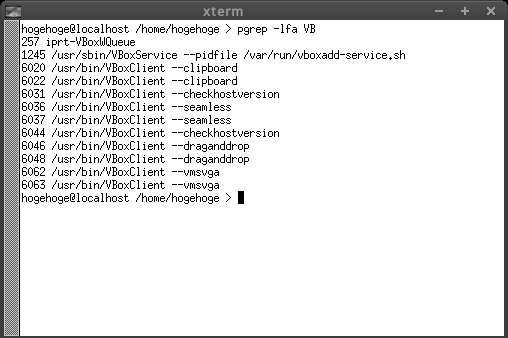 「VirtualBox Guest Additions」「openSUSE 15.3 IceWM」-「動作確認」
