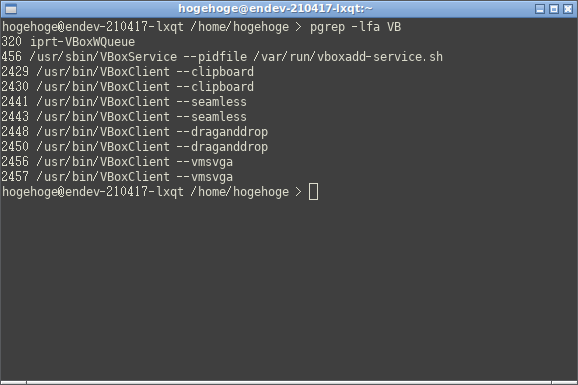 「VirtualBox Guest Additions」「EndeavourOS 2021.04.17」-「LXQt」「動作確認」