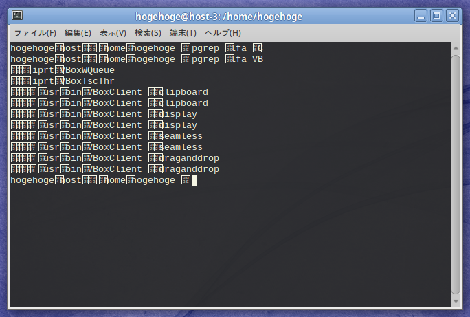 「VirtualBox Guest Additions」「ALT Linux 9.0」-「動作確認」