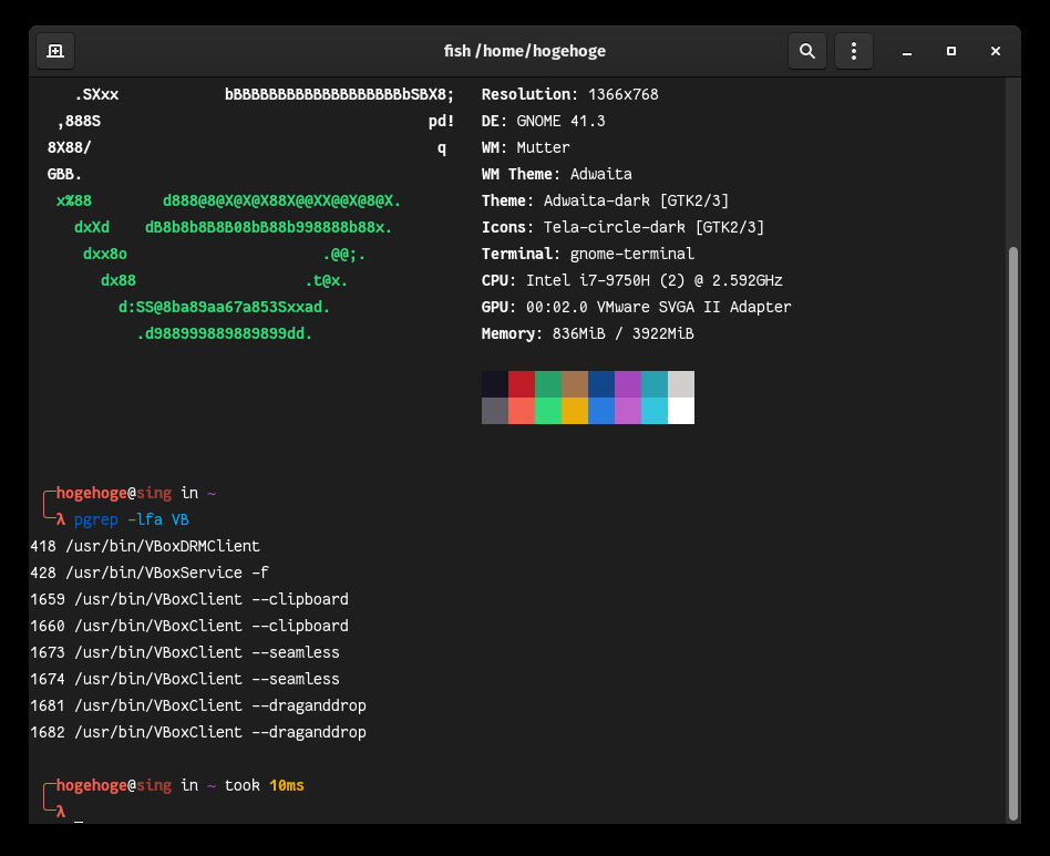 「VirtualBox Guest Additions」「Garuda 211129 GNOME」-「動作確認」