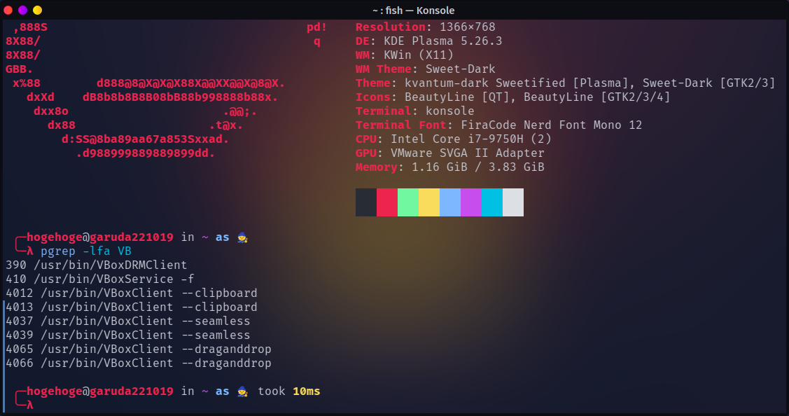 「VirtualBox Guest Additions」「Garuda 230305 KDE」-「動作確認」