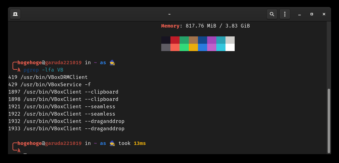 「VirtualBox Guest Additions」「Garuda 230305 GNOME」-「動作確認」