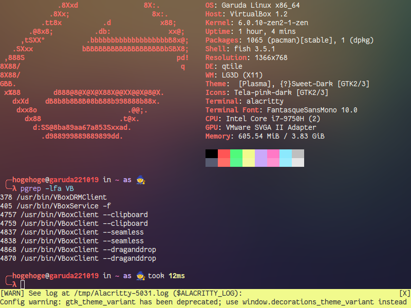 「VirtualBox Guest Additions」「Garuda 230305 qtile」-「動作確認」