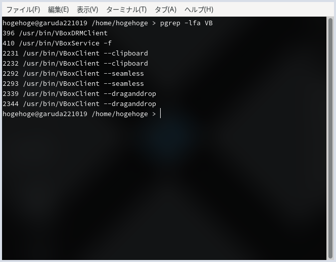「VirtualBox Guest Additions」「Garuda 230305 i3wm」-「動作確認」