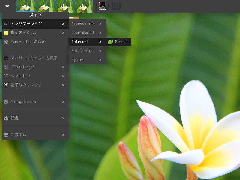 「Enlightenment FreeBSD 14.3」-「スタート」→「アプリケーション」→「Internet」→「Midori」