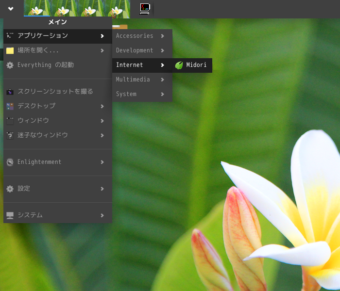「Enlightenment FreeBSD 15.0」-「スタート」→「アプリケーション」→「Internet」→「Midori」