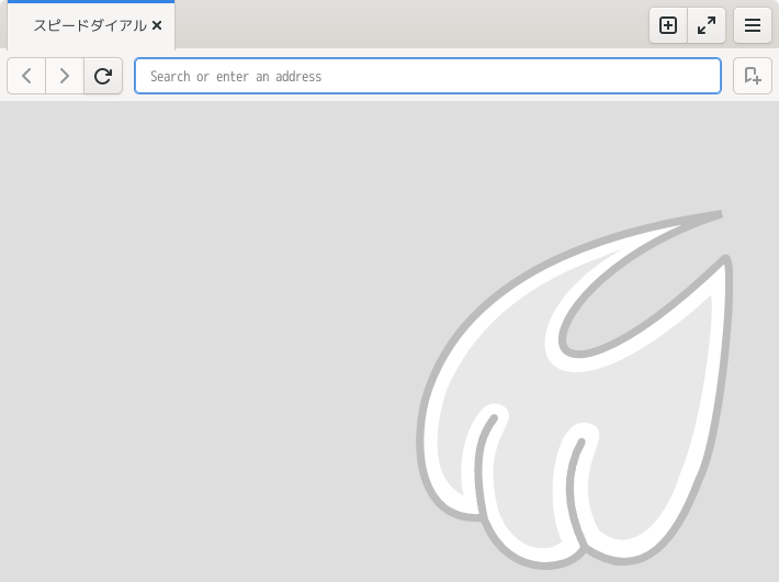 「Enlightenment FreeBSD 15.1」-「Midori」「起動直後」