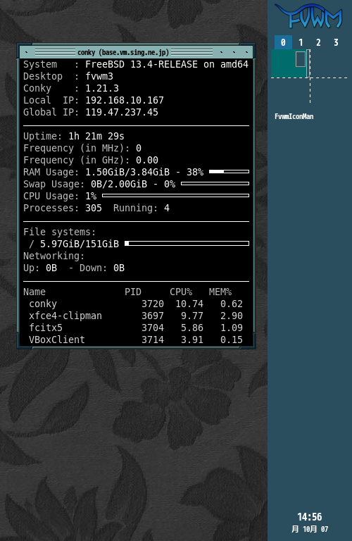 クリックでオリジナルのサイズで開きます 「fvwm FreeBSD 13.4」-「Conky」「表示」