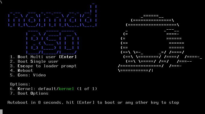 「NomadBSD 141R」-「boot」