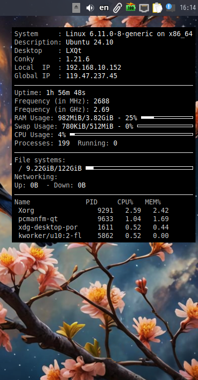 クリックでオリジナルのサイズで開きます 「Lubuntu 24.10」-「Conky」「表示」