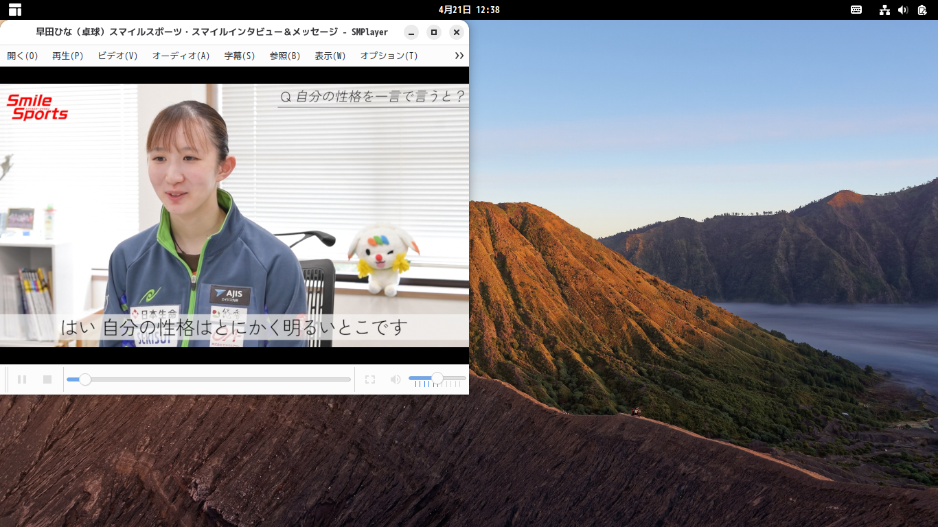 「Solus 4.9 GNOME」-「GIMP」「ビデオコンテンツ再生中」