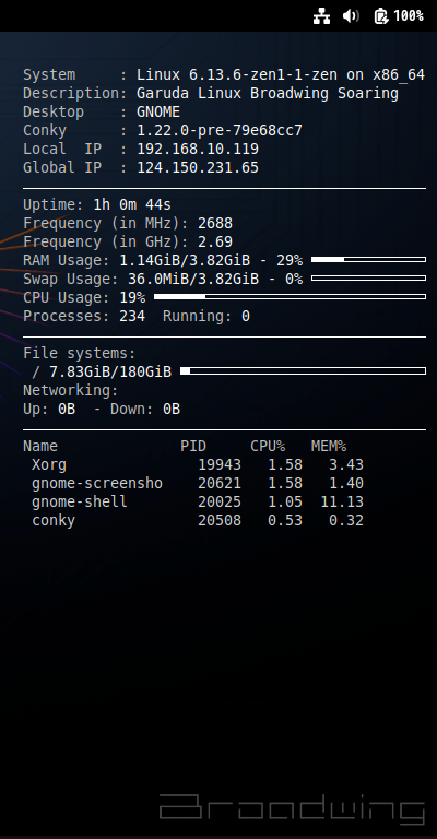 クリックでオリジナルのサイズで開きます 「Garuda 250308 GNOME」-「Conky」「表示」