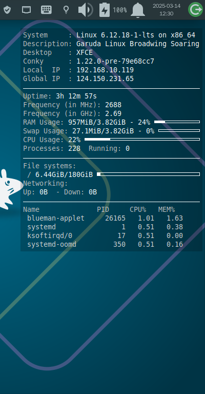 クリックでオリジナルのサイズで開きます 「Garuda 250308 XFCE」-「Conky」「表示」