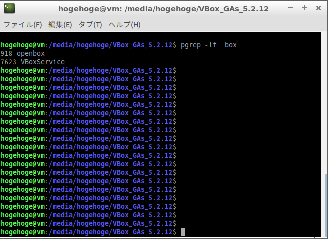 VirtualBox - Guest Additions インストール - Ubuntu - 18.04 - Lubuntu