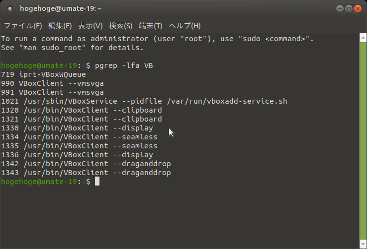 「VirtualBox Guest Additions」「Ubuntu MATE 19.04」-「動作確認」