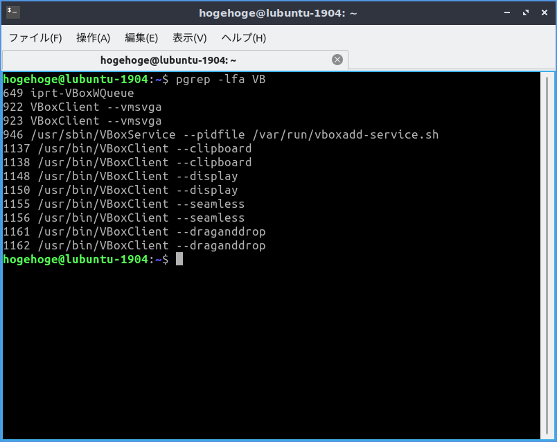 「VirtualBox Guest Additions」「Lubuntu 19.04」-「動作確認」