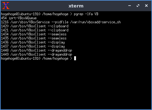 「VirtualBox Guest Additions」「Lubuntu 19.10」-「動作確認」