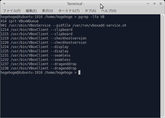 「VirtualBox Guest Additions」「Xubuntu 19.10」-「動作確認」