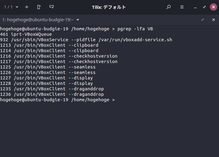 「VirtualBox Guest Additions」「Ubuntu BUDGIE 19.10」-「動作確認」