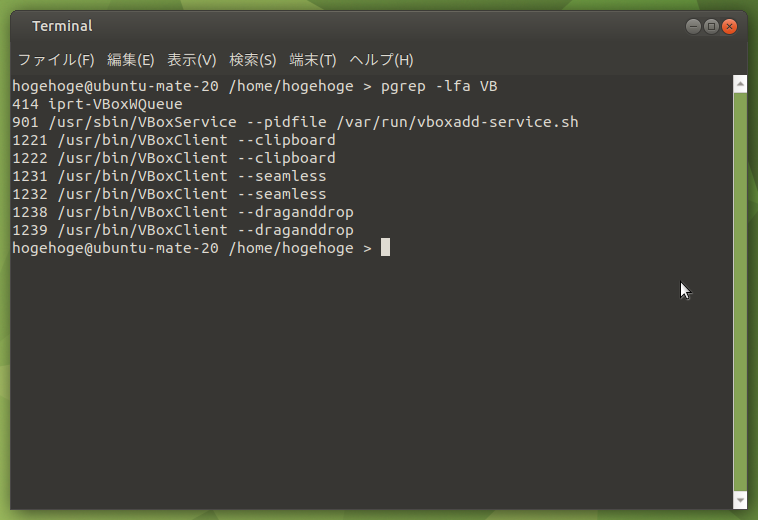 「VirtualBox Guest Additions」「Ubuntu MATE 20.04」-「動作確認」