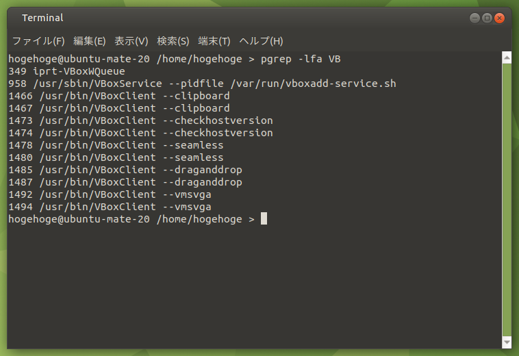 「VirtualBox Guest Additions」「Ubuntu MATE 20.10」-「動作確認」