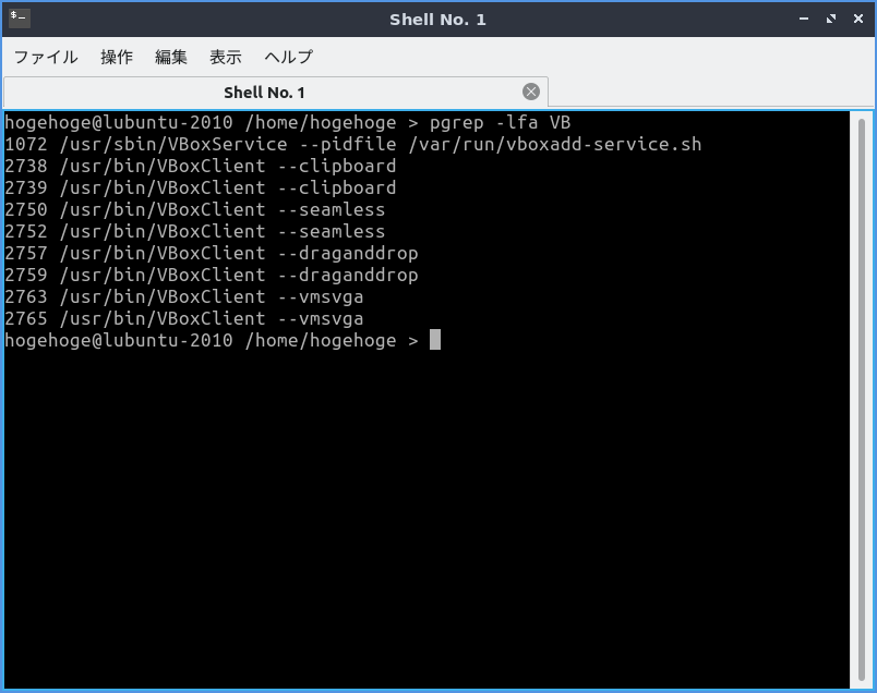 「VirtualBox Guest Additions」「Lubuntu 20.10」-「動作確認」