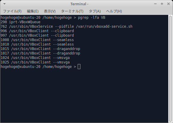 「VirtualBox Guest Additions」「Xubuntu 20.10」-「動作確認」