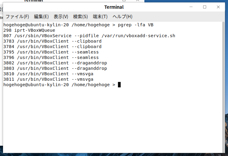 「VirtualBox Guest Additions」「Ubuntu Kylin 20.10」-「動作確認」