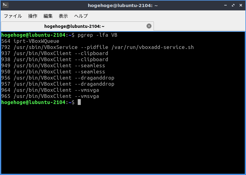 「VirtualBox Guest Additions」「Lubuntu 21.04」-「動作確認」