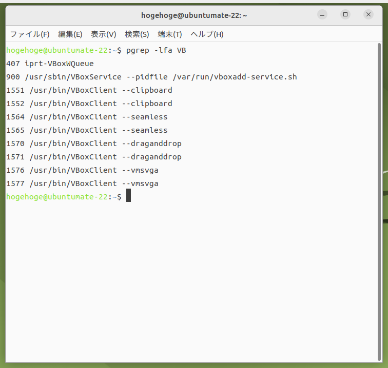 「VirtualBox Guest Additions」「Ubuntu MATE 22.04」-「動作確認」
