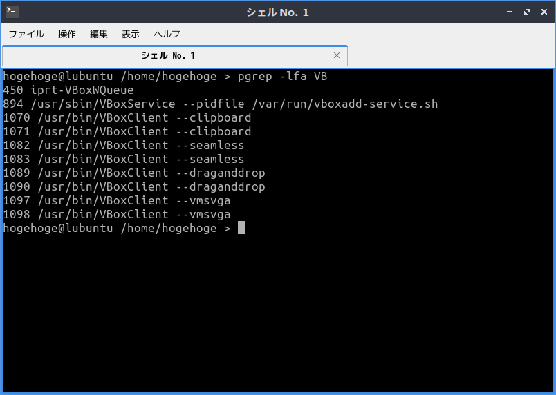 「VirtualBox Guest Additions」「Lubuntu 22.04」-「動作確認」