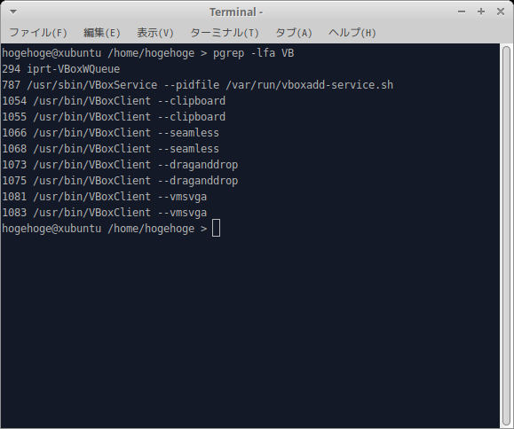 「VirtualBox Guest Additions」「Xubuntu 22.04」-「動作確認」