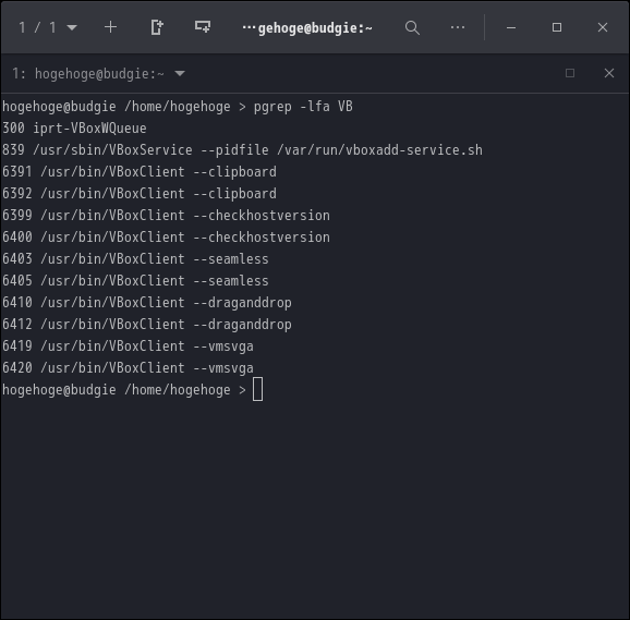 「VirtualBox Guest Additions」「Ubuntu BUDGIE 22.04」-「動作確認」