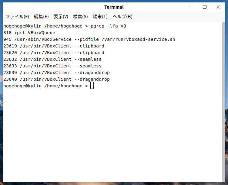 「VirtualBox Guest Additions」「Ubuntu Kylin 22.04」-「動作確認」