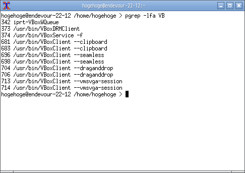 「VirtualBox Guest Additions」「EndeavourOS 22.12」-「Openbox」「動作確認」